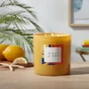 28oz Glass Lemon La Mer Candle Yellow - Opalhouse™ -Home Improvement Store GUEST 345325a5 f976 46d8 a646 203840829cb7