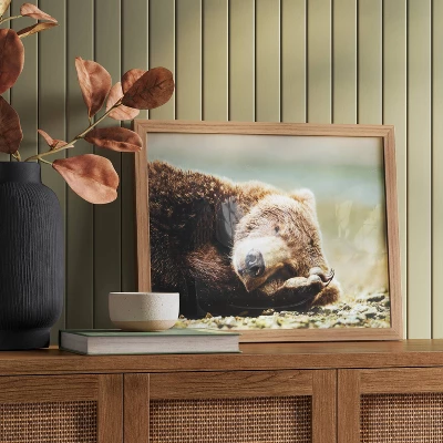 20" X 16" Bear Photography Framed Art Brown - Threshold™ 3 20" X 16" Bear Photography Framed Art Brown - Threshold™