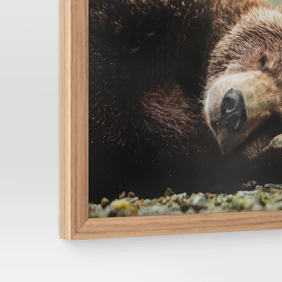 20" X 16" Bear Photography Framed Art Brown - Threshold™ 5 20" X 16" Bear Photography Framed Art Brown - Threshold™ - Image 3