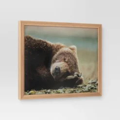 20" X 16" Bear Photography Framed Art Brown - Threshold™ 6 20" X 16" Bear Photography Framed Art Brown - Threshold™ -Home Improvement Store GUEST bdd5f4cc 4d39 4967 a892 83937e1fe495